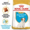 Royal Canin Jack Russell Terrier Puppy - Hundefutter 1 Royal Canin Jack Russell Terrier Puppy - Hundefutter -Bester Tierserien Laden royal canin jack russell terrier puppy hondenvoer 140597 0500 none