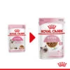 Royal Canin Kitten In Gravy - Katzenfutter 2 Royal Canin Kitten In Gravy - Katzenfutter -Bester Tierserien Laden royal canin kitten in gravy kattenvoer 207080 0500 none