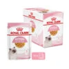 Royal Canin Kitten In Jelly - Katzenfutter -Bester Tierserien Laden royal canin kitten in jelly kattenvoer 207143 0500 none