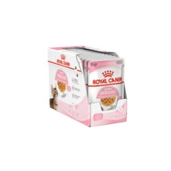 Royal Canin Kitten Sterilised Gelee - Beutel 15 Royal Canin Kitten Sterilised Gelee - Beutel -Bester Tierserien Laden royal canin kitten sterilised in jelly kattenvoer 201959 0500 none