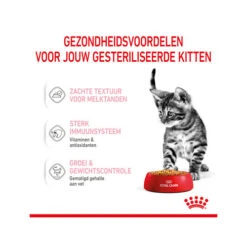 Royal Canin Kitten Sterilised Gelee - Beutel 23 Royal Canin Kitten Sterilised Gelee - Beutel -Bester Tierserien Laden royal canin kitten sterilised in jelly maaltijdzakje 207209 0500 none