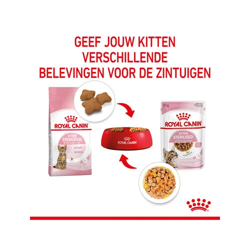 Royal Canin Kitten Sterilised Gelee - Beutel 7 Royal Canin Kitten Sterilised Gelee - Beutel – Bild 5