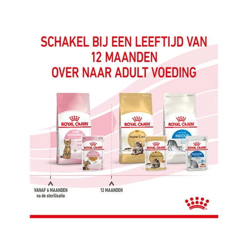 Royal Canin Kitten Sterilised Gelee - Beutel 10 Royal Canin Kitten Sterilised Gelee - Beutel – Bild 8