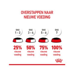 Royal Canin Kitten Sterilised Gelee - Beutel 21 Royal Canin Kitten Sterilised Gelee - Beutel -Bester Tierserien Laden royal canin kitten sterilised in jelly maaltijdzakje 207224 0500 none