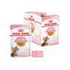 Royal Canin Kitten Sterilised Gelee - Beutel 2 Royal Canin Kitten Sterilised Gelee - Beutel -Bester Tierserien Laden royal canin kitten sterilised in jelly maaltijdzakje 207230 0500 none