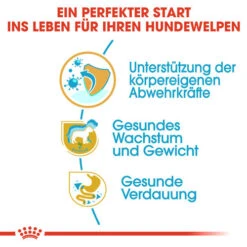 Bester Tierserien Laden -Bester Tierserien Laden royal canin labrador retriever puppy hondenvoer 139429 0500 none