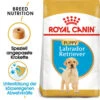 Royal Canin Labrador Retriever Puppy - Hundefutter -Bester Tierserien Laden royal canin labrador retriever puppy hondenvoer 140618 0500 none