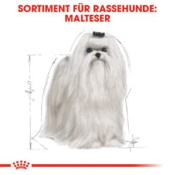 Royal Canin Maltese Adult - Hundefutter 12 Royal Canin Maltese Adult - Hundefutter -Bester Tierserien Laden royal canin maltese adult hondenvoer 139570 0500 none