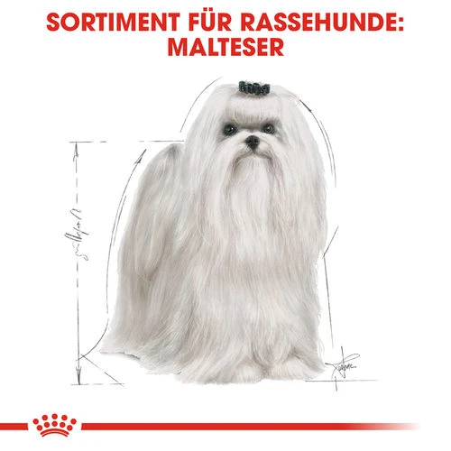 Royal Canin Maltese Adult - Hundefutter 6 Royal Canin Maltese Adult - Hundefutter – Bild 4