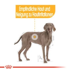 Royal Canin Maxi Dermacomfort - Hundefutter -Bester Tierserien Laden royal canin maxi dermacomfort hondenvoer 132422 0500 none