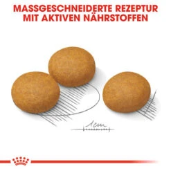Royal Canin Maxi Dermacomfort - Hundefutter -Bester Tierserien Laden royal canin maxi dermacomfort hondenvoer 132440 0500 none
