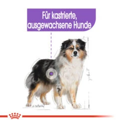 Royal Canin Medium Sterilised - Hundefutter 13 Royal Canin Medium Sterilised - Hundefutter -Bester Tierserien Laden royal canin medium sterilised hondenvoer 132911 0500 none