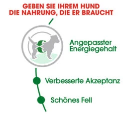 Royal Canin Mini Adult - Hundefutter 12 Royal Canin Mini Adult - Hundefutter -Bester Tierserien Laden royal canin mini adult hondenvoer 128648 0500 none