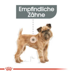 Royal Canin Mini Dental Care - Hundefutter -Bester Tierserien Laden royal canin mini dental care hondenvoer 130985 0500 none