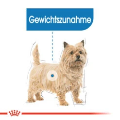 Royal Canin Mini Light Weight Care - Hundefutter -Bester Tierserien Laden royal canin mini light weight care hondenvoer 132725 0500 none