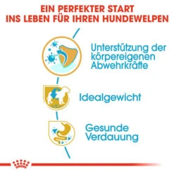 Royal Canin Mini Schnauzer Puppy - Hundefutter -Bester Tierserien Laden royal canin mini schnauzer puppy hondenvoer 140173 0500 none