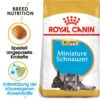 Royal Canin Mini Schnauzer Puppy - Hundefutter 2 Royal Canin Mini Schnauzer Puppy - Hundefutter -Bester Tierserien Laden royal canin mini schnauzer puppy hondenvoer 140197 0500 none