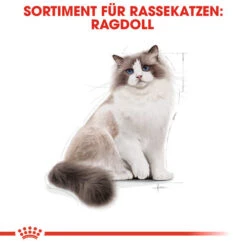 Royal Canin Ragdoll Adult - Katzenfutter -Bester Tierserien Laden royal canin ragdoll adult kattenvoer 125087 0500 none