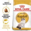 Royal Canin Ragdoll Adult - Katzenfutter -Bester Tierserien Laden royal canin ragdoll adult kattenvoer 125138 0500 none
