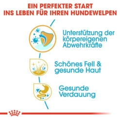 Royal Canin Shih Tzu Puppy - Hundefutter -Bester Tierserien Laden royal canin shih tzu junior hondenvoer 140402 0500 none