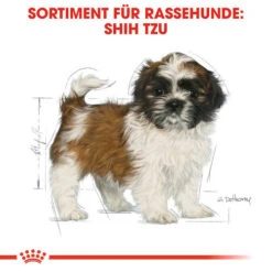 Royal Canin Shih Tzu Puppy - Hundefutter -Bester Tierserien Laden royal canin shih tzu junior hondenvoer 140411 0500 none