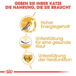 Royal Canin Sphynx Adult - Katzenfutter 14 Royal Canin Sphynx Adult - Katzenfutter -Bester Tierserien Laden royal canin sphynx adult kattenvoer 125456 0500 none