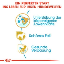 Bester Tierserien Laden -Bester Tierserien Laden royal canin yorkshire terrier puppy hondenvoer 140795 0500 none