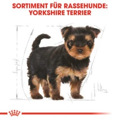 Royal Canin Yorkshire Terrier Puppy - Hundefutter -Bester Tierserien Laden royal canin yorkshire terrier puppy hondenvoer 140804 0500 none