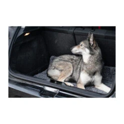 Royal Dry Doormat -Bester Tierserien Laden royal dry doormat 187417 0500 none