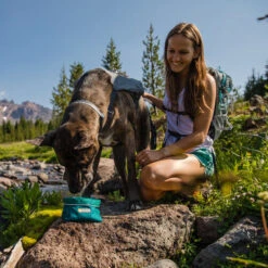 Ruffwear Flat Out Dog Collar - Alpenglow Burst -Bester Tierserien Laden ruffwear flat out dog collar alpenglow burst 204812 0500 none