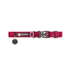 Ruffwear Flat Out Dog Collar - Alpenglow Burst -Bester Tierserien Laden ruffwear flat out dog collar alpenglow burst 204824 0500 none