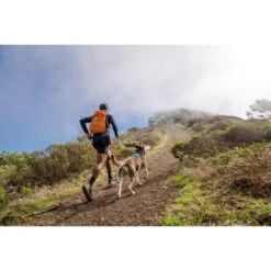 Ruffwear Hi & Light Harness -Bester Tierserien Laden ruffwear hi light harness 196016 0500 none