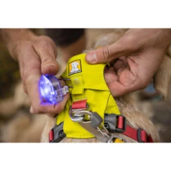 Ruffwear Hi & Light Harness -Bester Tierserien Laden ruffwear hi light harness 196031 0500 none
