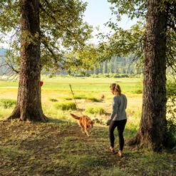 Ruffwear Knot-a-Hitch 8 Ruffwear Knot-a-Hitch -Bester Tierserien Laden ruffwear knot a hitch 124643 0500 none