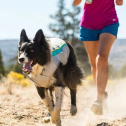 Ruffwear Swamp Cooler -Bester Tierserien Laden ruffwear swamp cooler 124703 0500 none