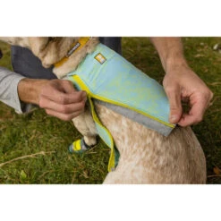 Ruffwear Swamp Cooler Zip -Bester Tierserien Laden ruffwear swamp cooler zip vest 196307 0500 none
