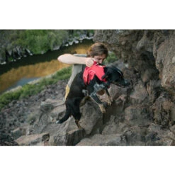 Ruffwear Webmaster Harness -Bester Tierserien Laden ruffwear webmaster harness 204671 0500 none