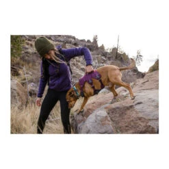 Ruffwear Webmaster Harness -Bester Tierserien Laden ruffwear webmaster harness 217109 0500 none