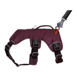 Ruffwear Webmaster Harness -Bester Tierserien Laden ruffwear webmaster harness 217110 0500 none
