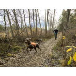 Ruffwear Webmaster Harness -Bester Tierserien Laden ruffwear webmaster harness 217113 0500 none