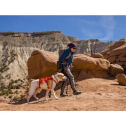 Ruffwear Webmaster Harness -Bester Tierserien Laden ruffwear webmaster harness 217118 0500 none