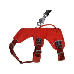 Ruffwear Webmaster Harness -Bester Tierserien Laden ruffwear webmaster harness 217119 0500 none