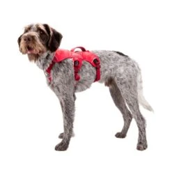 Ruffwear Webmaster Harness -Bester Tierserien Laden ruffwear webmaster harness 88447 0500 none