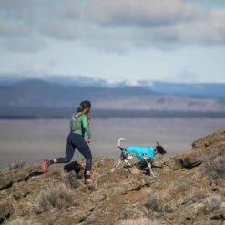 Ruffwear Wind Sprinter Jacket -Bester Tierserien Laden ruffwear wind sprinter jacket 124694 0500 none