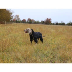 RukkaPets Protect Overall -Bester Tierserien Laden rukkapets protect overall zwart 216401 0500 none