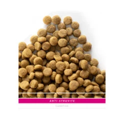 SANIMED Anti Struvite Dog -Bester Tierserien Laden sanimed anti struvite dog 158504 0500 none