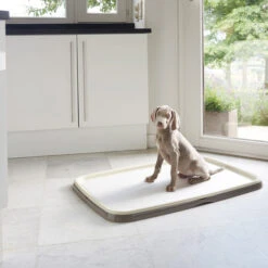 Savic Puppy Trainer + Pads -Bester Tierserien Laden savic puppy trainer pads 163498 0500 none