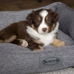 Scruffs Manhattan Box Bett 10 Scruffs Manhattan Box Bett -Bester Tierserien Laden scruffs manhattan box bed 209513 0500 none