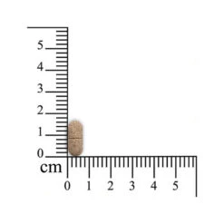 Sensipharm Omniderma Hunde 6 Sensipharm Omniderma Hunde -Bester Tierserien Laden sensipharm omniderma hond 174730 0500 none