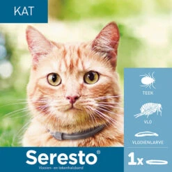 Bester Tierserien Laden -Bester Tierserien Laden seresto kat 182296 0500 none